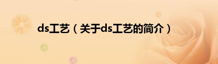 ds工艺（关于ds工艺的简介）