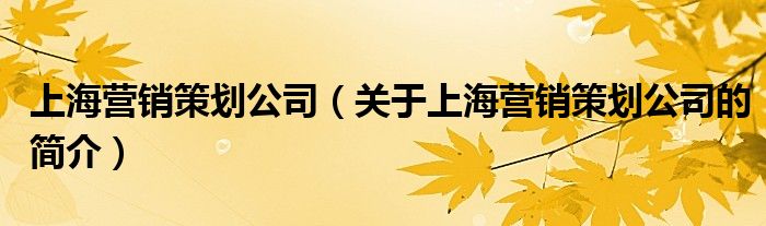 上海营销策划公司（关于上海营销策划公司的简介）