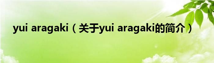 yui aragaki（关于yui aragaki的简介）