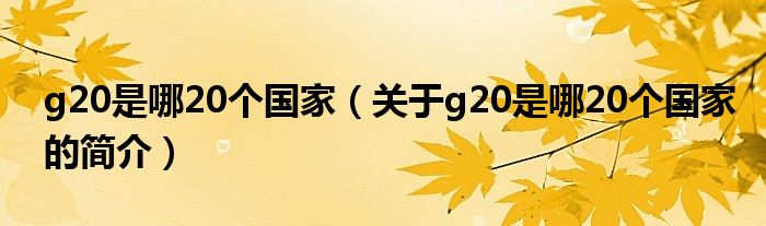 g20是哪20个国家（关于g20是哪20个国家的简介）