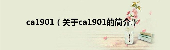 ca1901（关于ca1901的简介）