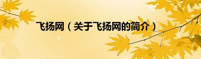 飞扬网（关于飞扬网的简介）