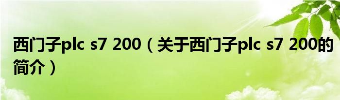 西门子plc s7 200（关于西门子plc s7 200的简介）