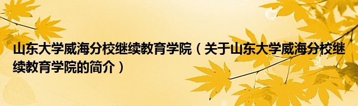 山东大学威海分校继续教育学院（关于山东大学威海分校继续教育学院的简介）