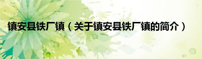 镇安县铁厂镇（关于镇安县铁厂镇的简介）