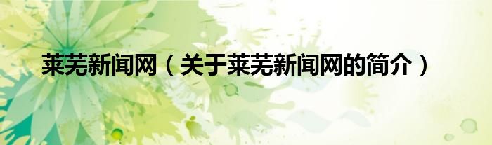 莱芜新闻网（关于莱芜新闻网的简介）