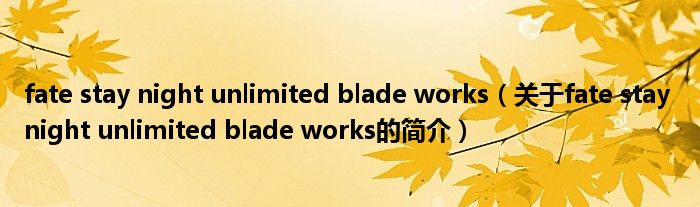 fate stay night unlimited blade works（关于fate stay night unlimited blade works的简介）