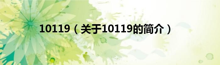 10119（关于10119的简介）