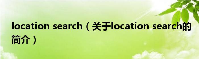 location search（关于location search的简介）