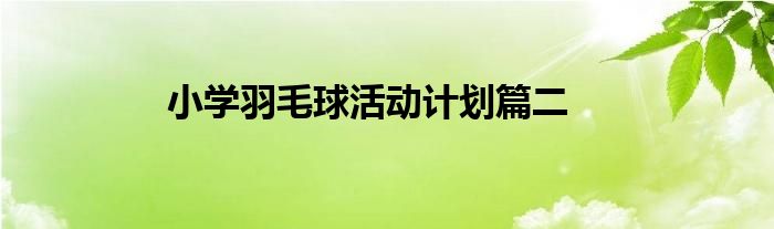 小学羽毛球活动计划篇二