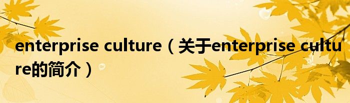 enterprise culture（关于enterprise culture的简介）