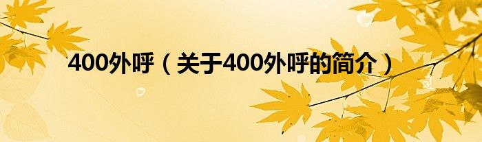 400外呼（关于400外呼的简介）