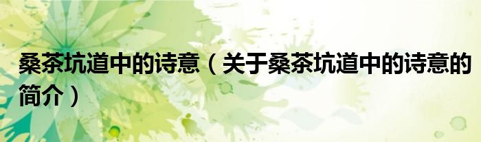 桑茶坑道中的诗意（关于桑茶坑道中的诗意的简介）
