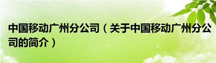 中国移动广州分公司（关于中国移动广州分公司的简介）