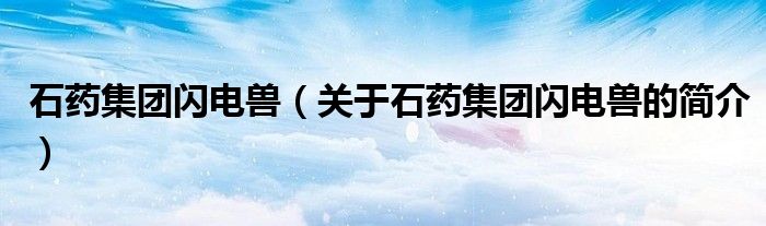 石药集团闪电兽（关于石药集团闪电兽的简介）