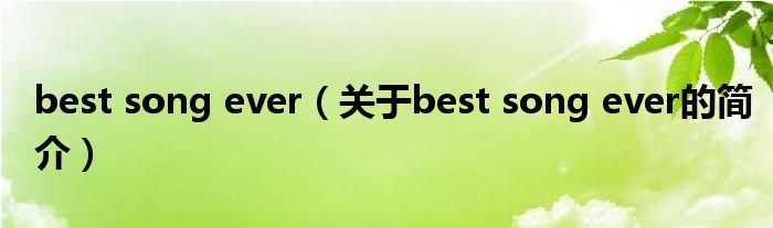 best song ever（关于best song ever的简介）