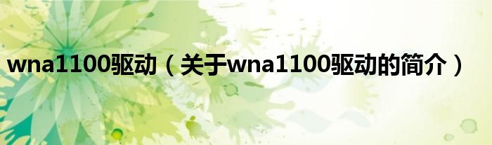 wna1100驱动（关于wna1100驱动的简介）