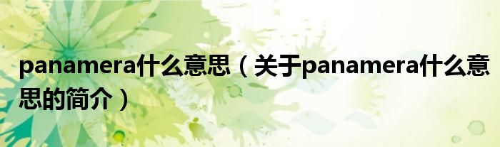 panamera什么意思（关于panamera什么意思的简介）