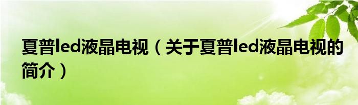 夏普led液晶电视（关于夏普led液晶电视的简介）