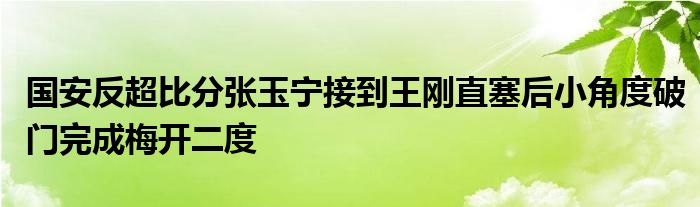 国安反超比分张玉宁接到王刚直塞后小角度破门完成梅开二度