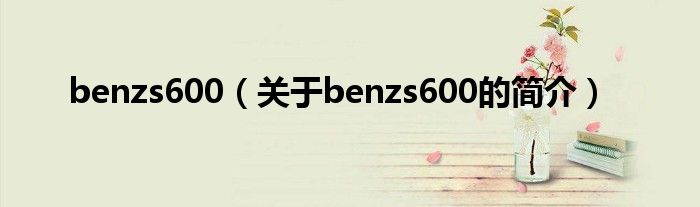 benzs600（关于benzs600的简介）