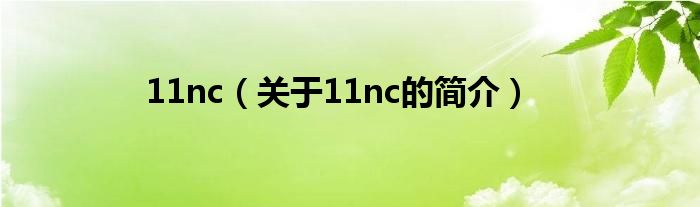 11nc（关于11nc的简介）