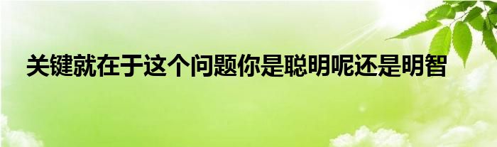 关键就在于这个问题你是聪明呢还是明智