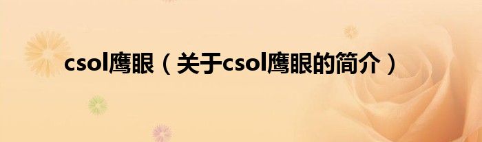 csol鹰眼（关于csol鹰眼的简介）