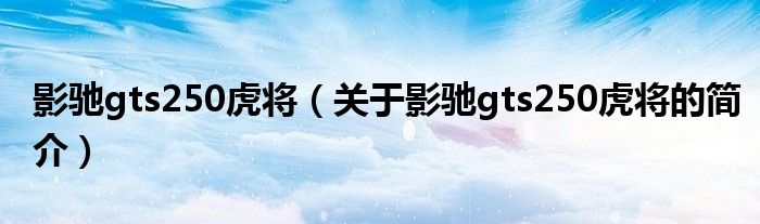 影驰gts250虎将（关于影驰gts250虎将的简介）