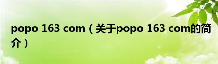 popo 163 com（关于popo 163 com的简介）