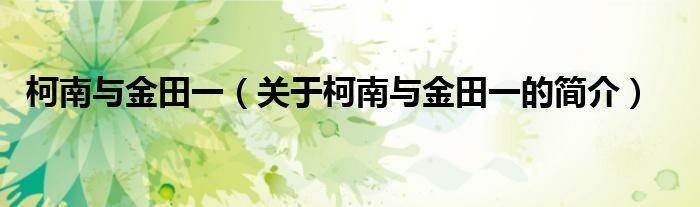 柯南与金田一（关于柯南与金田一的简介）