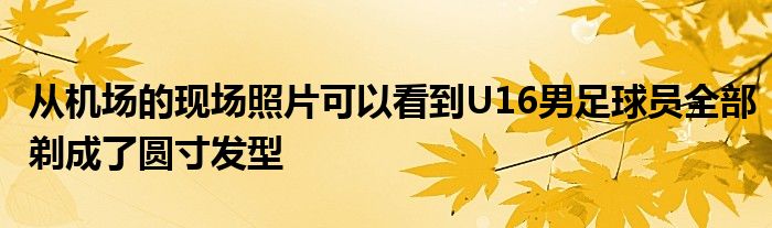 从机场的现场照片可以看到U16男足球员全部剃成了圆寸发型