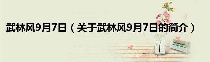 武林风9月7日（关于武林风9月7日的简介）