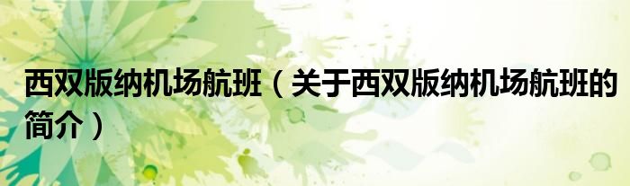 西双版纳机场航班（关于西双版纳机场航班的简介）