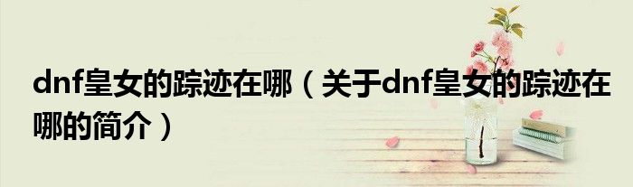 dnf皇女的踪迹在哪（关于dnf皇女的踪迹在哪的简介）