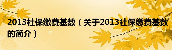 2013社保缴费基数（关于2013社保缴费基数的简介）