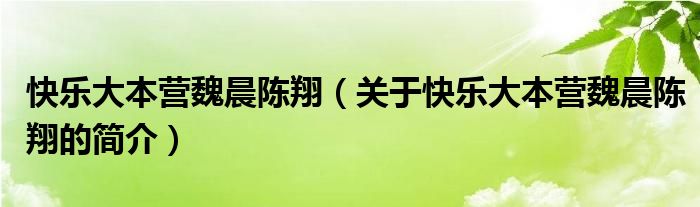 快乐大本营魏晨陈翔（关于快乐大本营魏晨陈翔的简介）