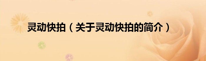 灵动快拍（关于灵动快拍的简介）