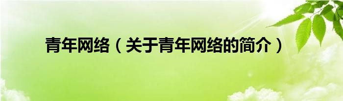 青年网络（关于青年网络的简介）