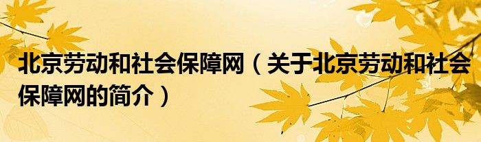 北京劳动和社会保障网（关于北京劳动和社会保障网的简介）