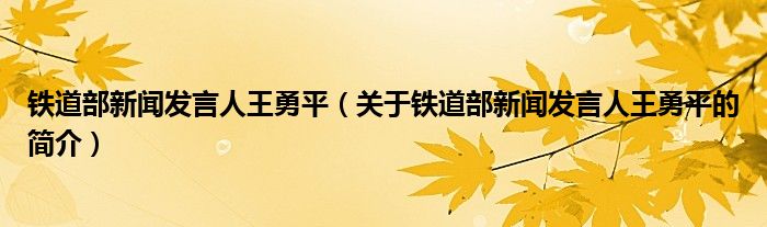 铁道部新闻发言人王勇平（关于铁道部新闻发言人王勇平的简介）