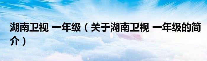 湖南卫视 一年级（关于湖南卫视 一年级的简介）