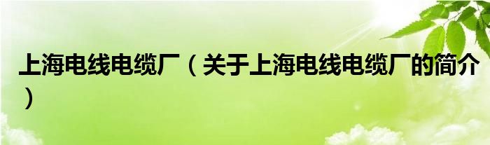 上海电线电缆厂（关于上海电线电缆厂的简介）