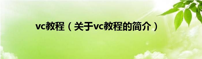 vc教程（关于vc教程的简介）