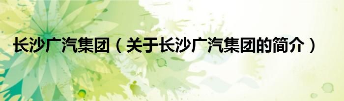长沙广汽集团（关于长沙广汽集团的简介）