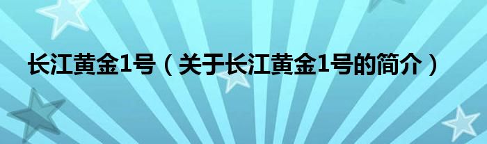 长江黄金1号（关于长江黄金1号的简介）