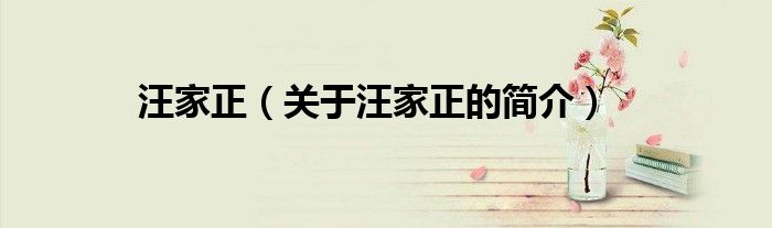 汪家正（关于汪家正的简介）