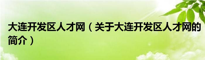 大连开发区人才网（关于大连开发区人才网的简介）