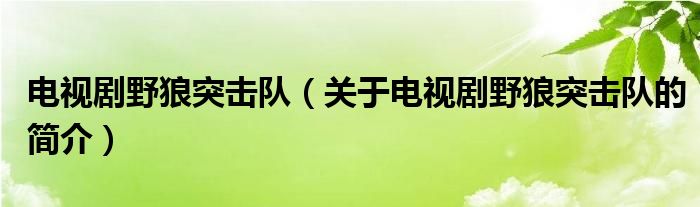 电视剧野狼突击队（关于电视剧野狼突击队的简介）