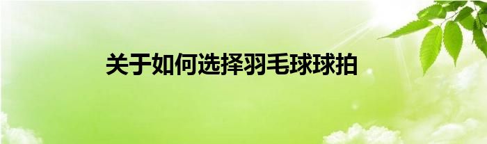 关于如何选择羽毛球球拍